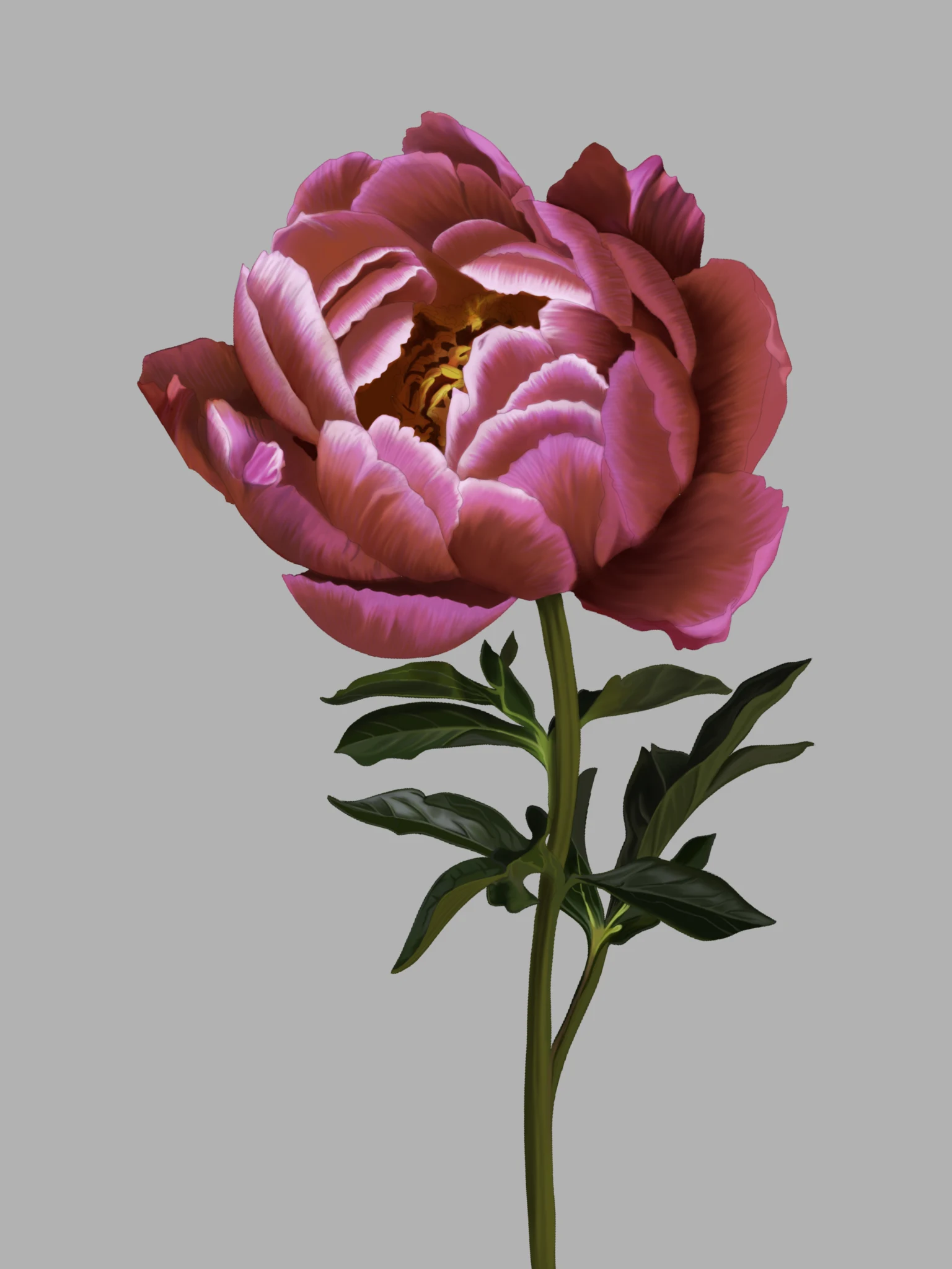 A lush pink peony in full bloom with layered, ruffled petals. The flower's center reveals hints of yellow stamens. The green stem is upright, with several dark green leaves extending outward.